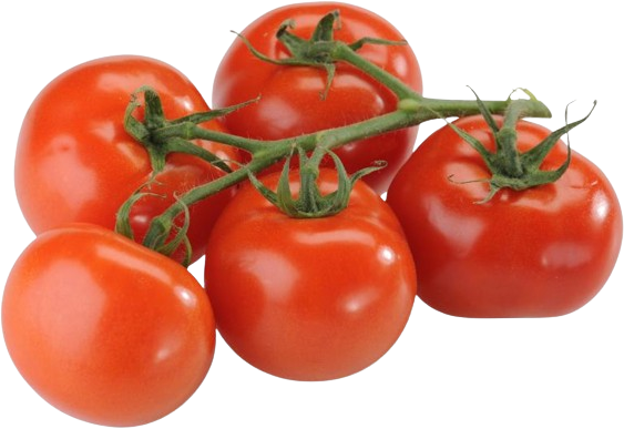⁠Strauch Tomaten
